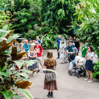 Wide shot of the back of an Eden Tour guide stood in front of large group of people giving a tour in the Rainforest Biome